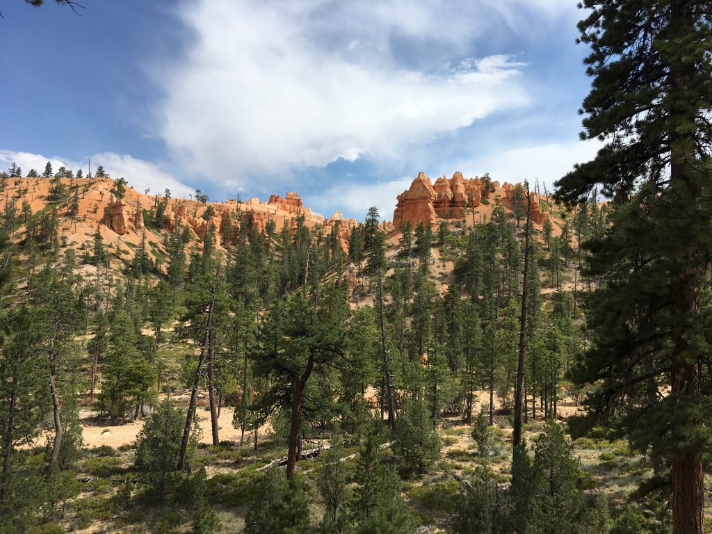Bryce Canyon - Západ USA